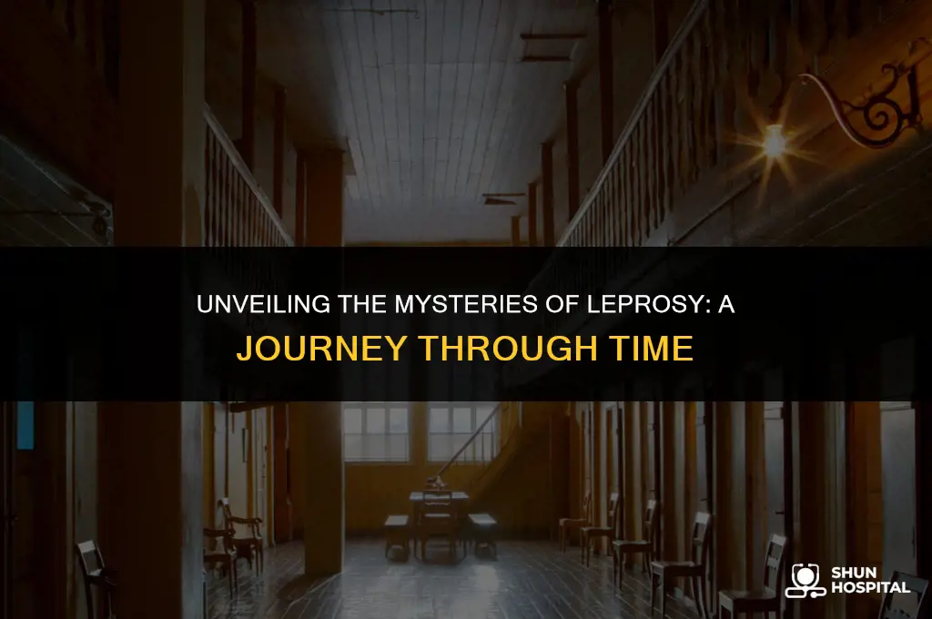 what is a leper hospital