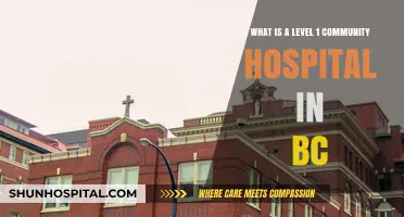 Understanding Level 1 Community Hospitals in British Columbia