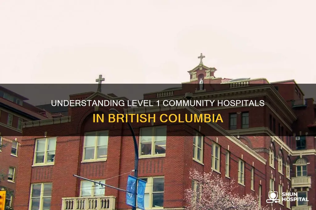 what is a level 1 community hospital in bc