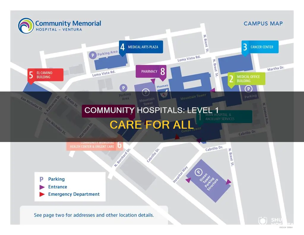 what is a level 1 community hospital