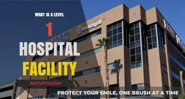 Understanding Basic Hospital Facilities: Level 1 Care