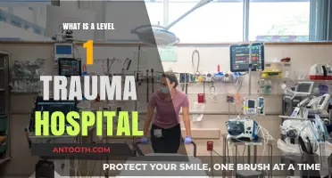 Trauma Care: Level 1 Hospitals Save Lives