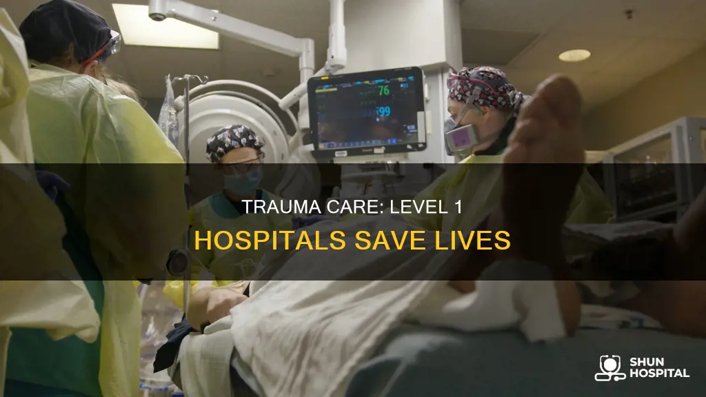 what is a level 1 trauma hospital