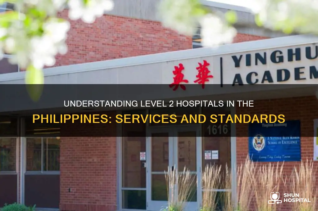 what is a level 2 hospital in the philippines