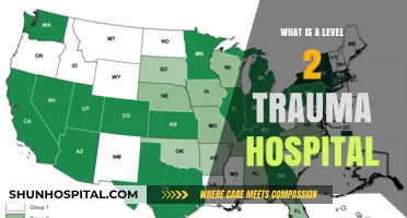 Trauma Hospitals: Level 2 Care Explained