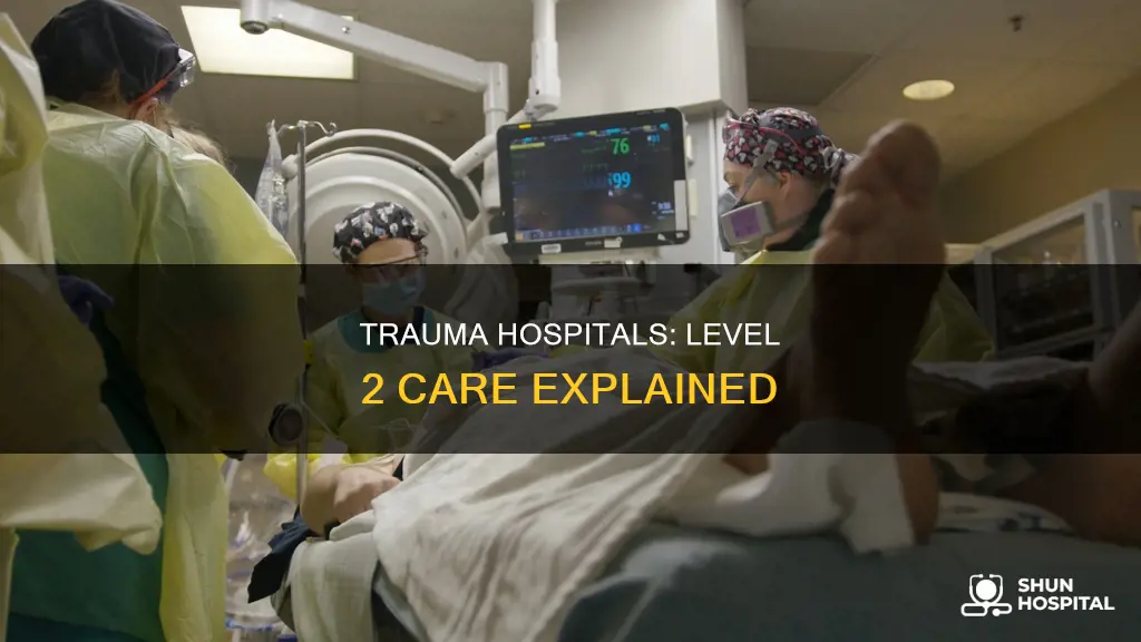 what is a level 2 trauma hospital