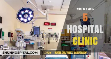 Top-Tier Hospital Clinics: Level 5 Healthcare