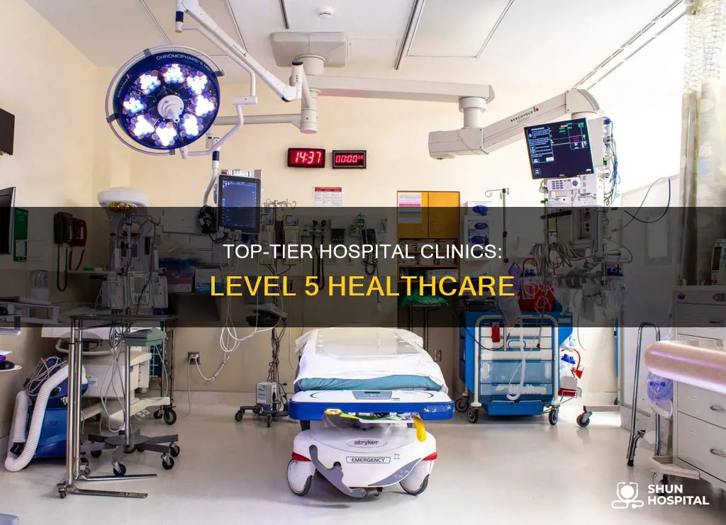 what is a level 5 hospital clinic