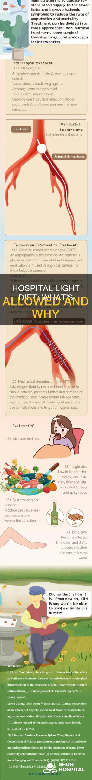 what is a light diet in hospital
