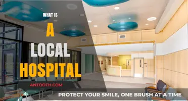 Exploring the Role and Importance of Your Local Hospital