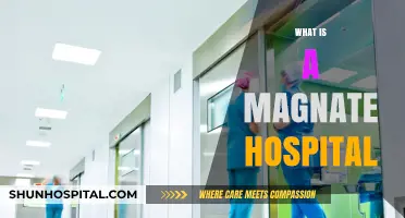 Understanding Magnate Hospitals: A Comprehensive Guide