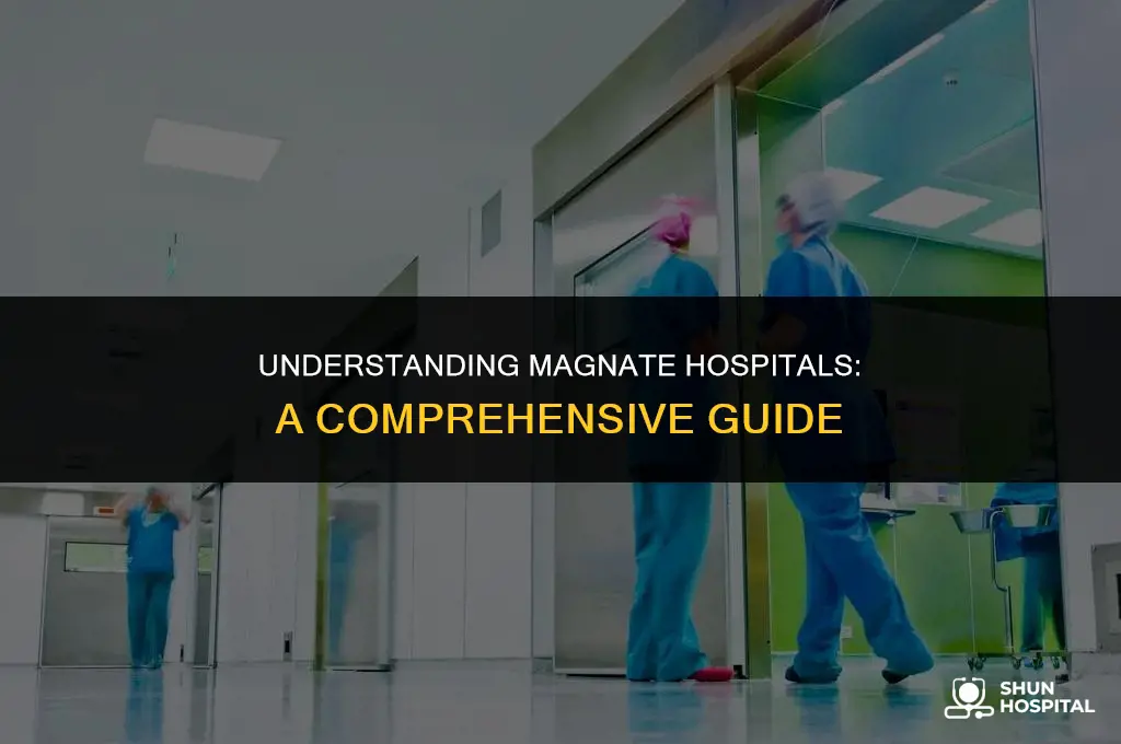 what is a magnate hospital