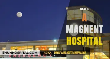 Understanding Magnetic Hospitals: A Comprehensive Guide
