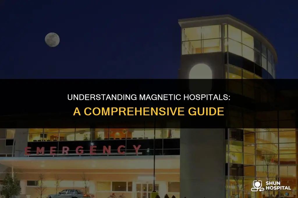 what is a magnent hospital