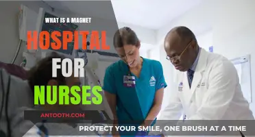Magnet Hospitals: Attracting and Retaining Top Nursing Talent