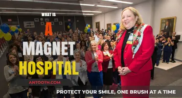 Understanding Magnet Hospitals: Excellence in Nursing and Patient Care
