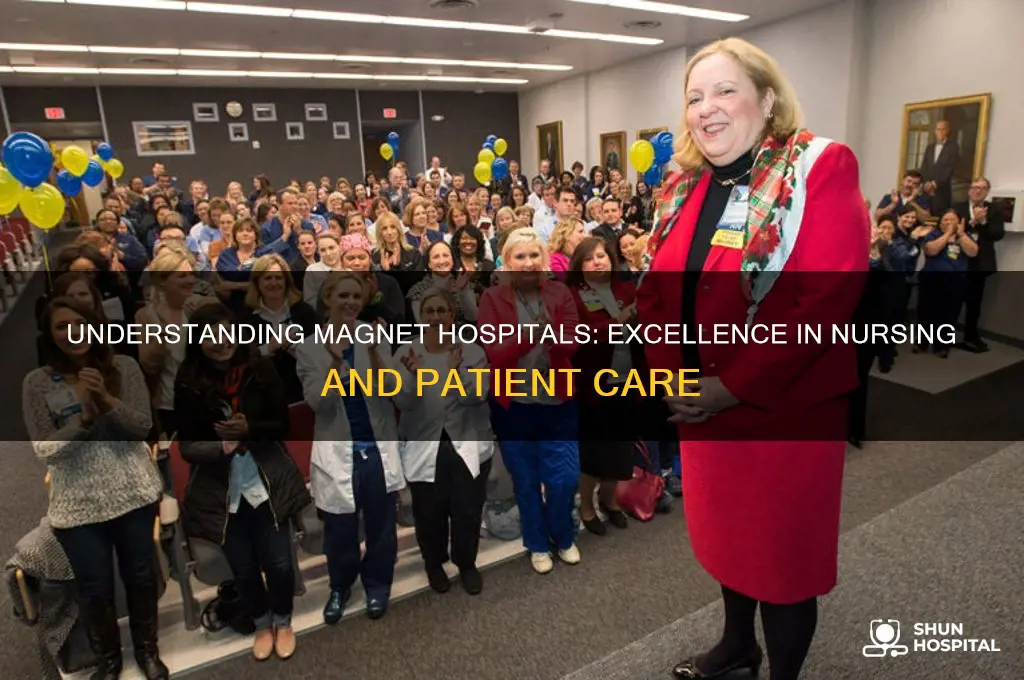what is a magnet hospital