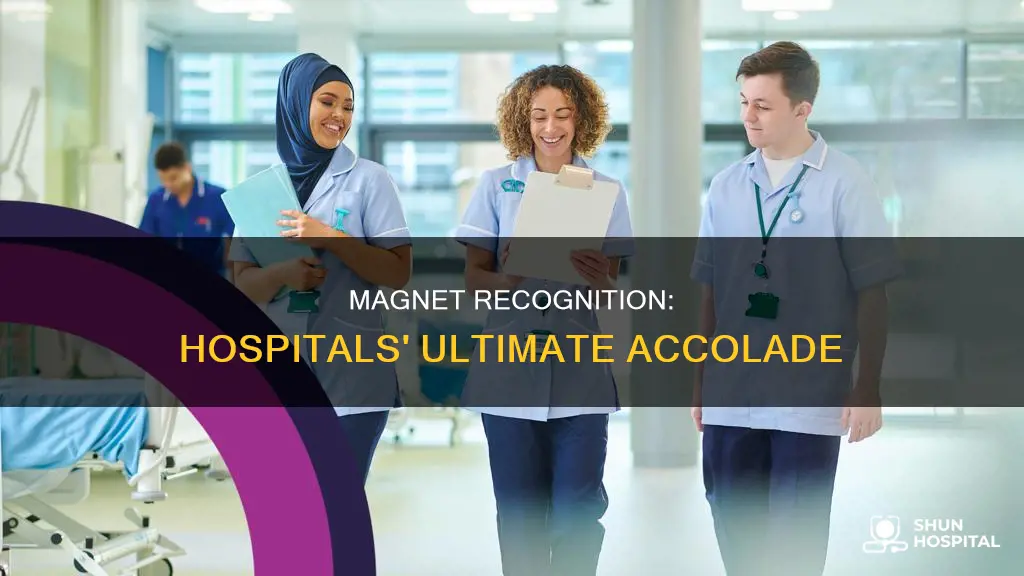 what is a magnet program in hospitals