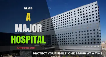 Understanding Major Hospitals: A Comprehensive Guide to Their Role and Importance