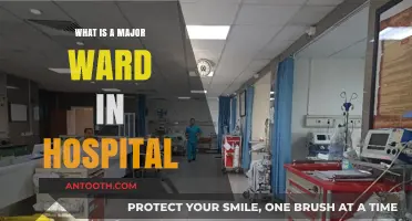 Understanding Hospital Wards: Major Ward Types and Their Functions