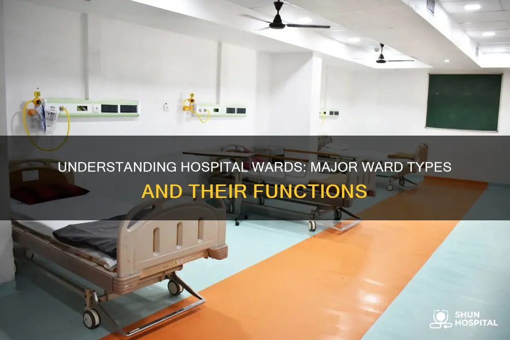 what is a major ward in hospital
