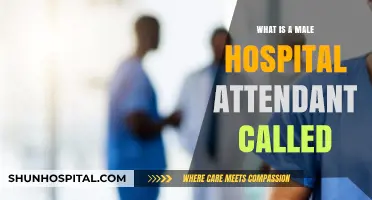 Hospital Attendants: Male Nurses' Unsung Heroes