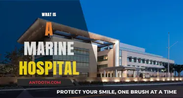 Exploring the Depths of Care: What Is a Marine Hospital?