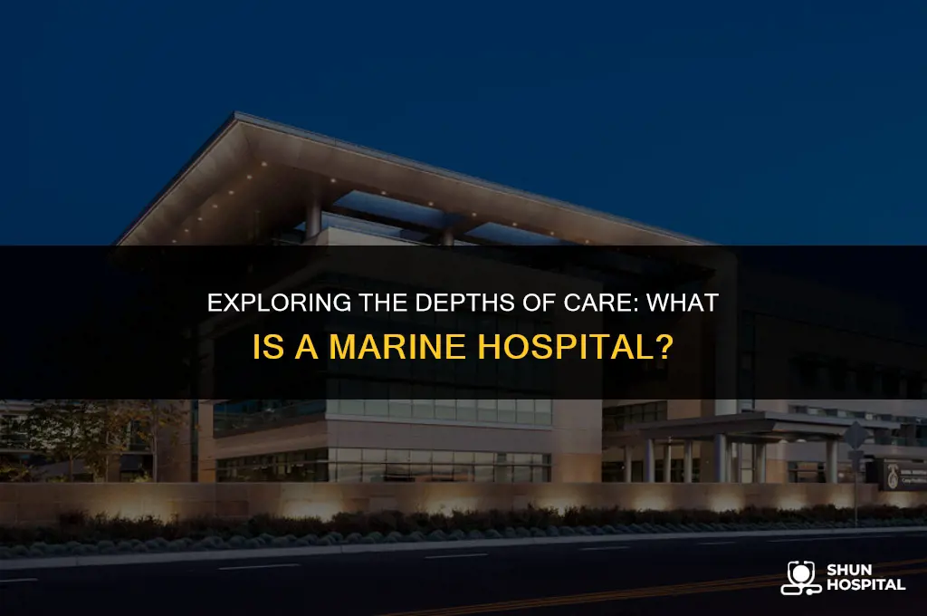 what is a marine hospital