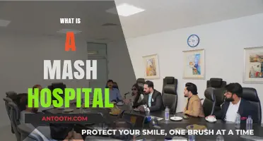 Exploring the Concept of Mash Hospitals: A Comprehensive Guide