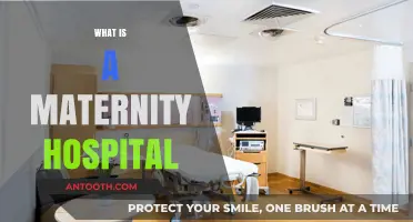 Understanding Maternity Hospitals: A Comprehensive Guide for Expectant Mothers