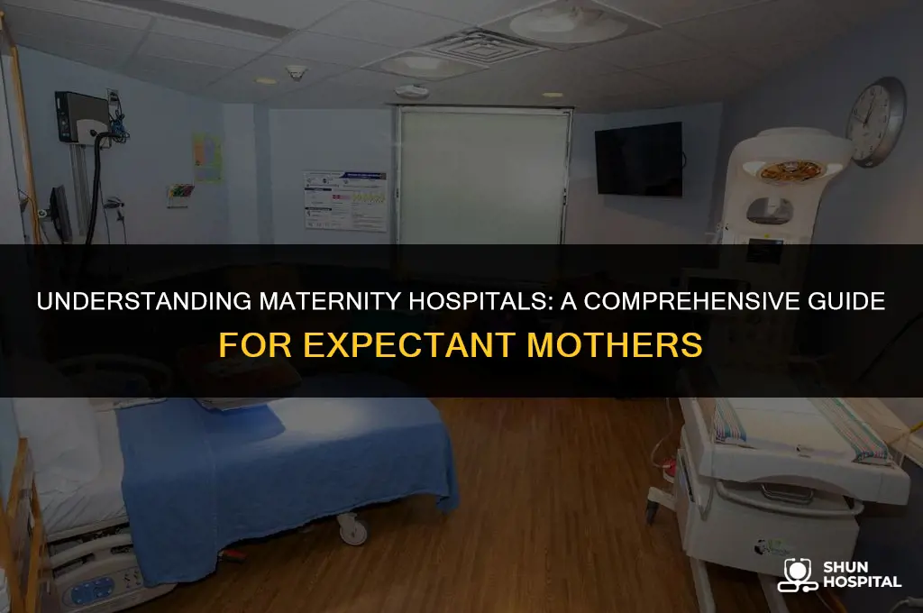 what is a maternity hospital