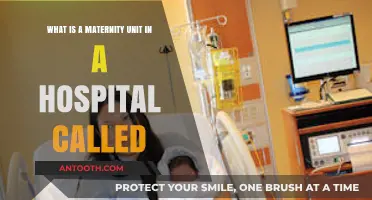 Understanding the Name: What’s a Hospital’s Maternity Unit Called?