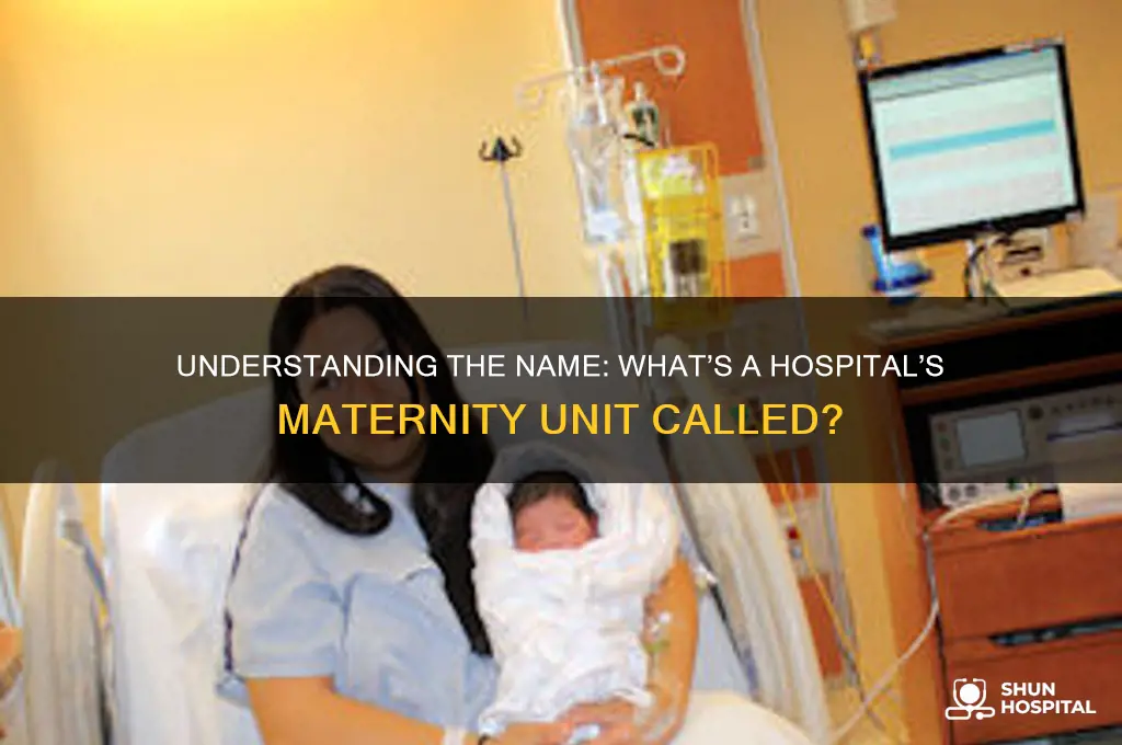 what is a maternity unit in a hospital called