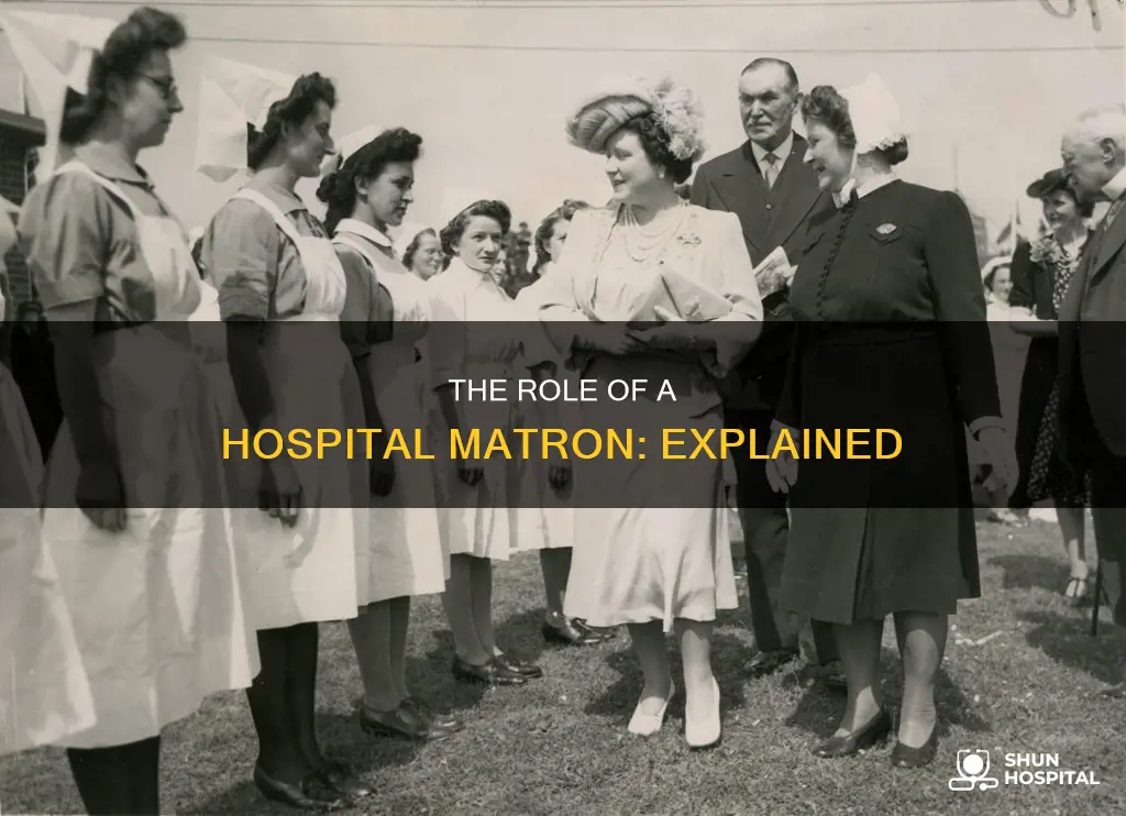 what is a matron at a hospital