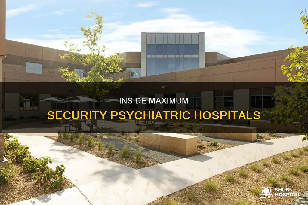 what is a maximum security psychiatric hospital
