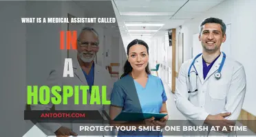 Understanding the Role: What is a Medical Assistant Called in a Hospital?
