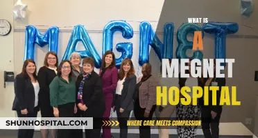 Understanding Magnet Hospitals: A Comprehensive Guide to Excellence in Nursing Care