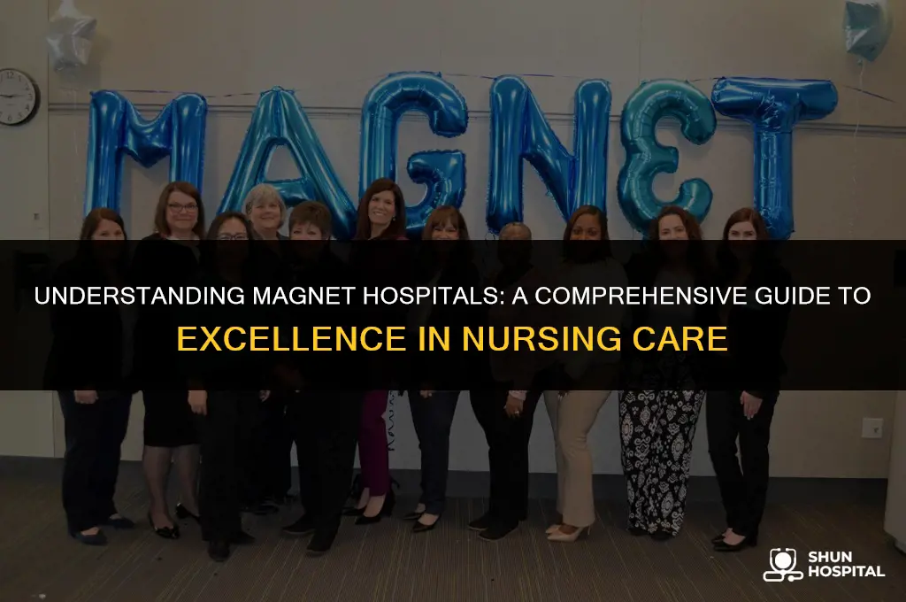 what is a megnet hospital