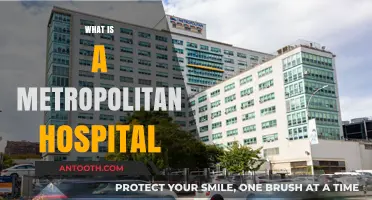 Understanding Metropolitan Hospitals: A Comprehensive Guide