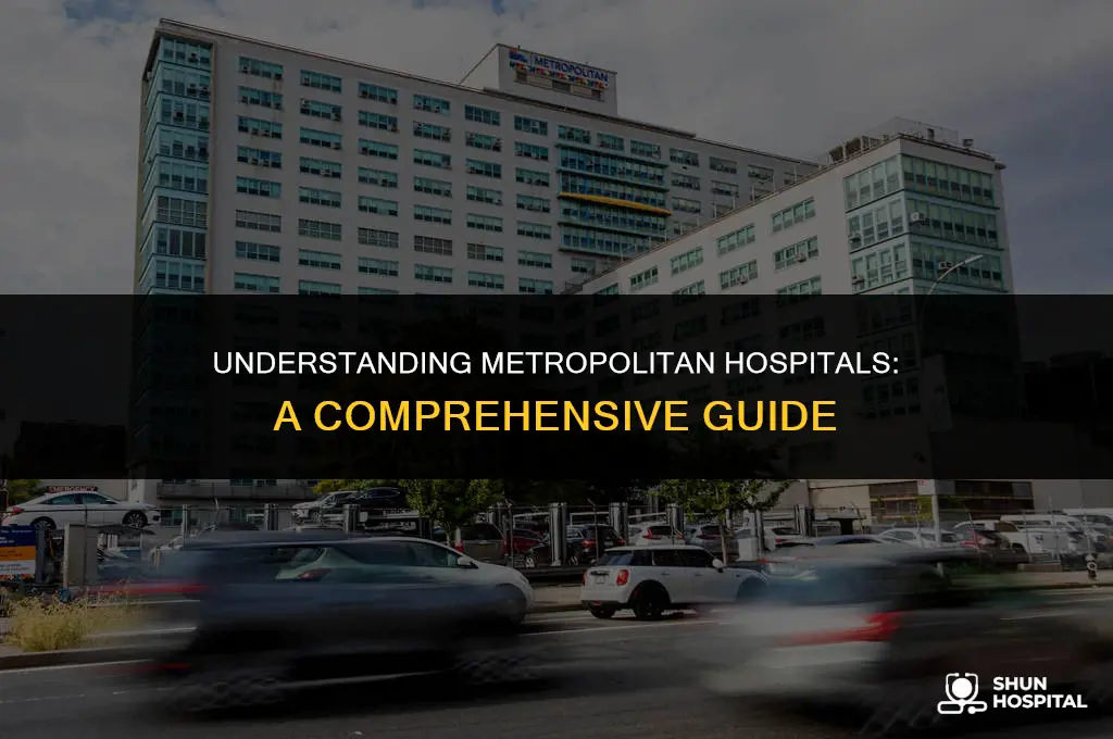 what is a metropolitan hospital