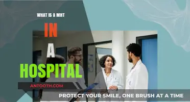 Understanding MHT: Hospital Mental Health Teams