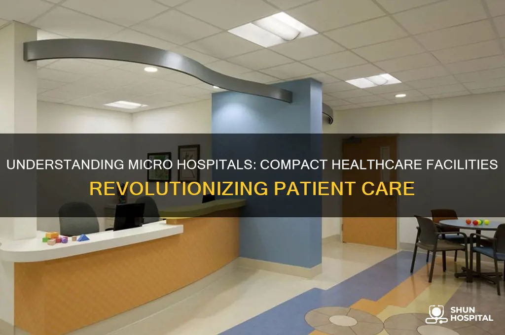 what is a micro hospital