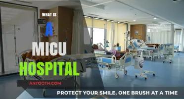 Understanding MICU: A Comprehensive Guide to Medical Intensive Care Units