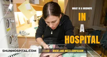 The Role of Midwives in Hospital Settings