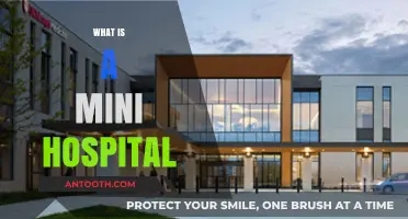 Understanding Mini Hospitals: A Comprehensive Guide to Their Role and Benefits