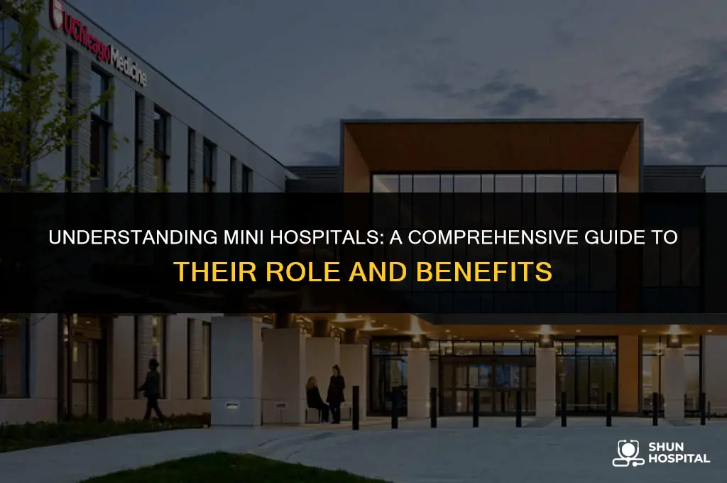 what is a mini hospital