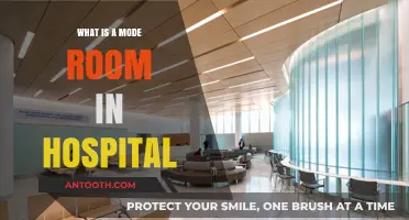 Mode Rooms: Hospital Luxury and Comfort