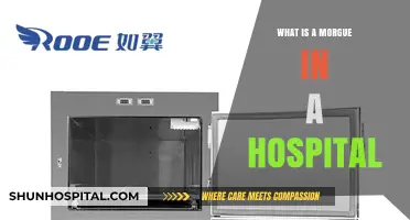Morgue Operations: Understanding Hospital Corpses Storage