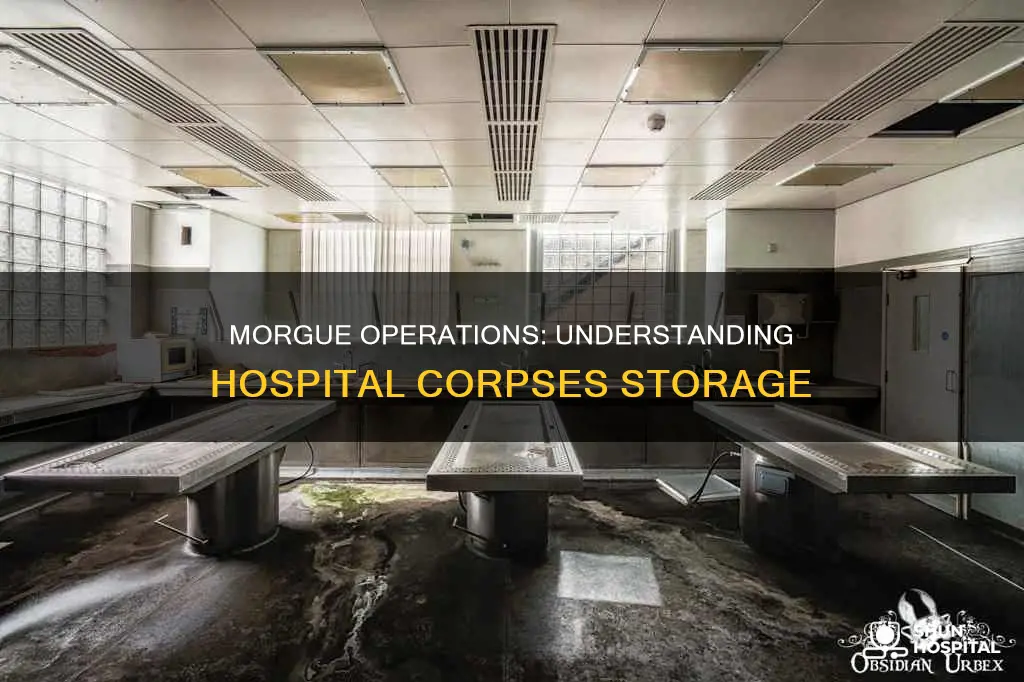 what is a morgue in a hospital