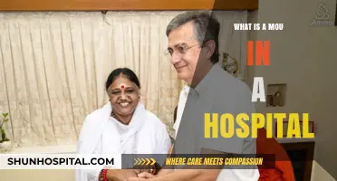 Understanding Hospital MOUs: What Are They?